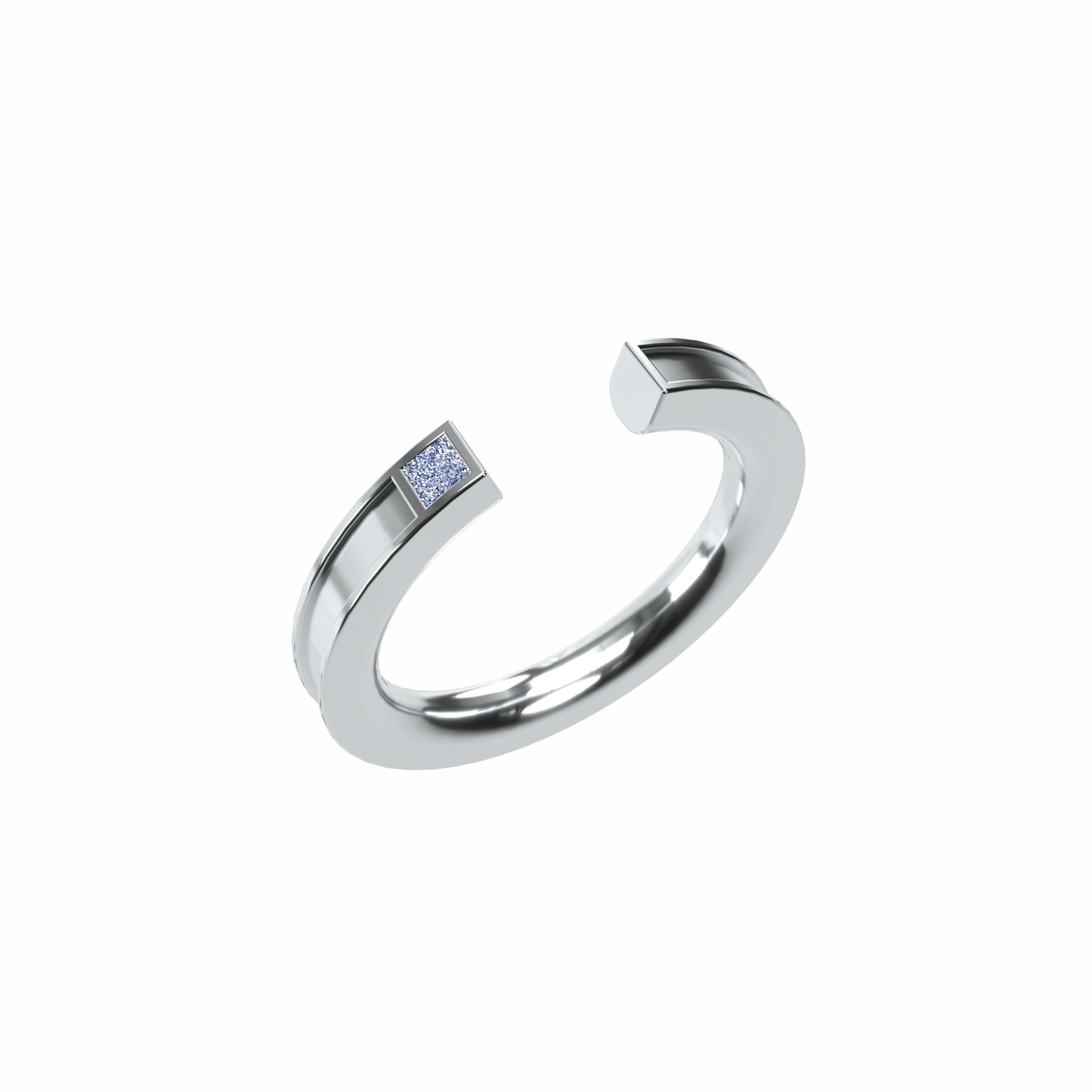 Osmium Adjustable Ring . The Band