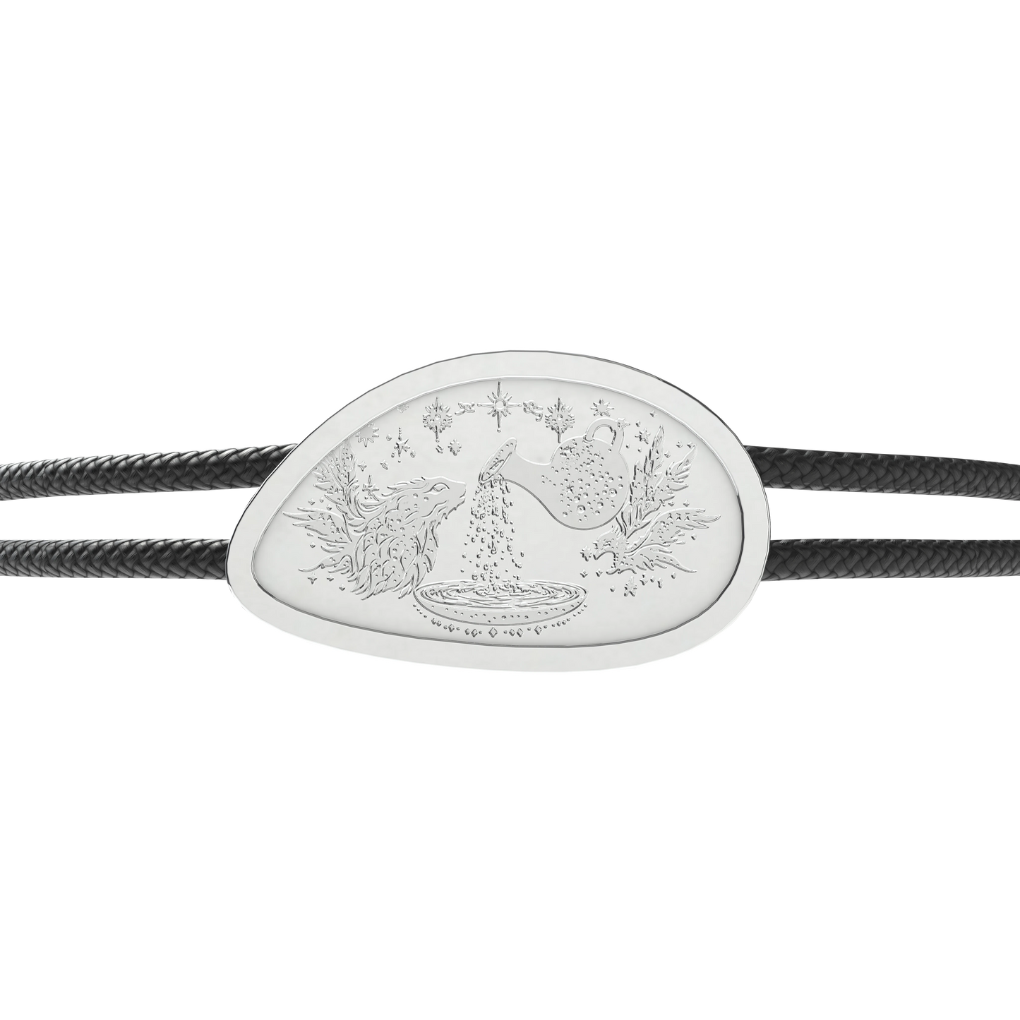 Aquarius Zodiac Sign_organic