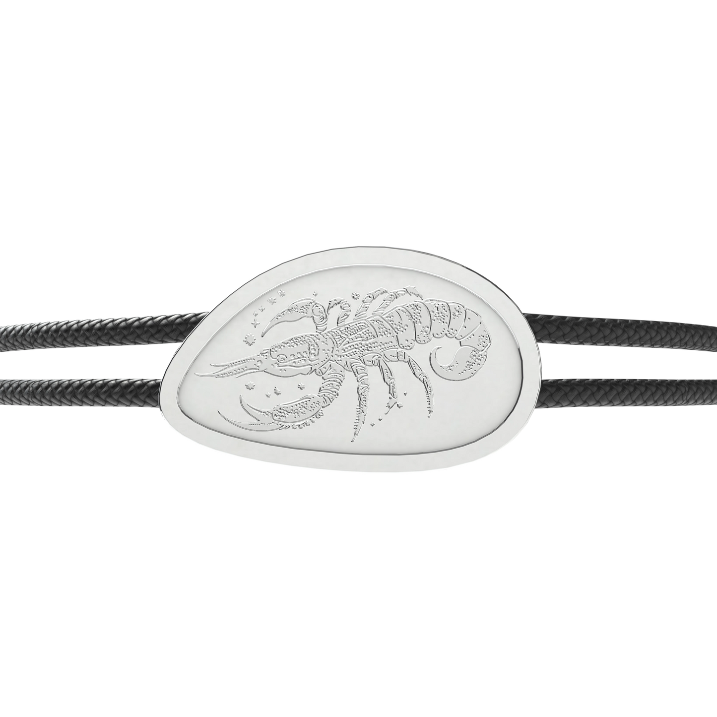 Scorpio Zodiac Sign_organic